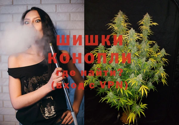гидра Алексин