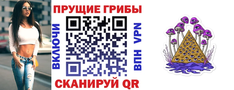 закладки  omg   Галлюциногенные грибы мицелий  Минусинск 